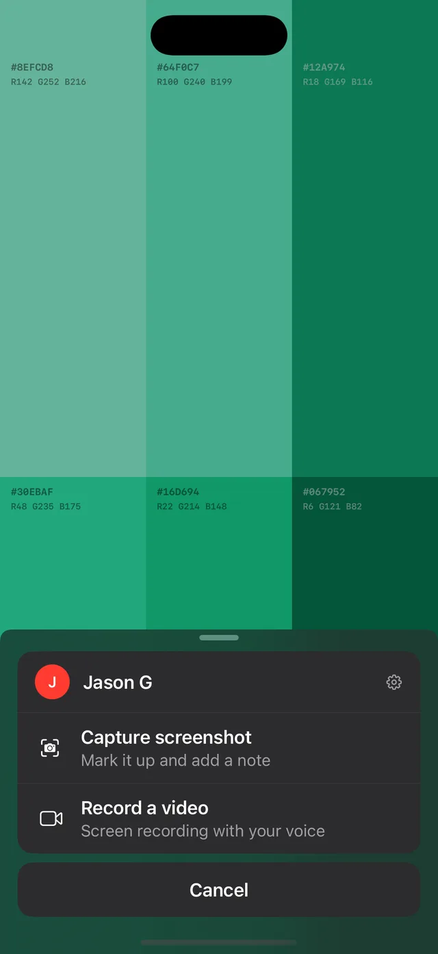 The capture chooser sheet, offering Capture screenshot or Record a video